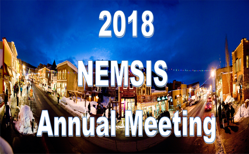 NEMSIS National EMS Information System